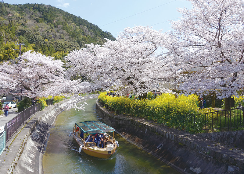 四季折々の表情を見せる琵琶湖疏水と「びわ湖疏水船」