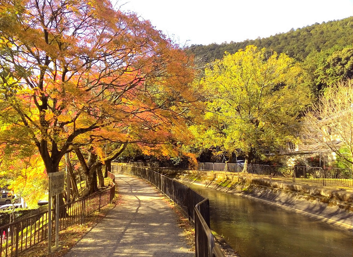 Higashiyama Natural Green Area