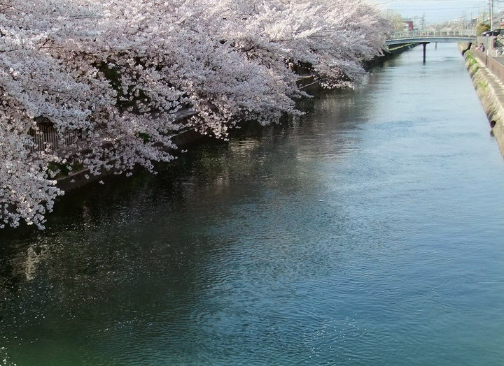 Kamogawa Canal
