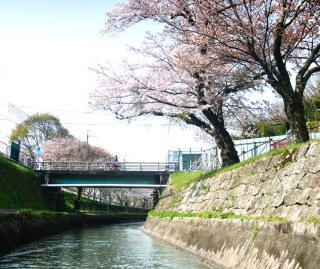 Fujio Bridge