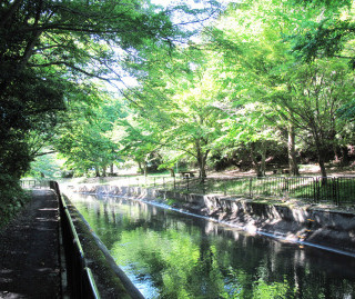 Yamashina Canal