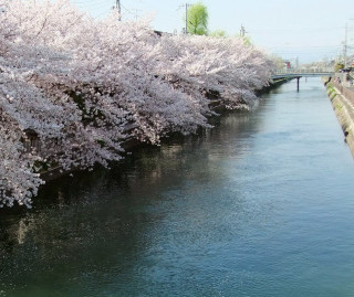 Kamogawa Canal